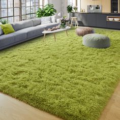 a living room filled with furniture and a green rug