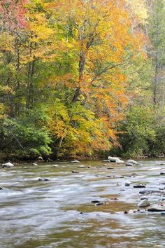 a river surrounded by trees with fall colors in the background and rocks on the bank