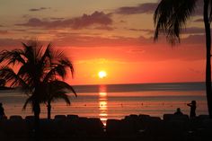 the sun is setting over the ocean with palm trees