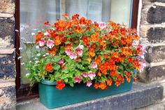 a window sill filled with lots of colorful flowers