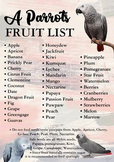 a parrot sitting on top of a tree branch next to a sign that says a parrot's fruit list