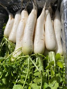 some white vegetables are in a plastic bag