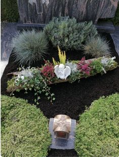 a garden with various plants and rocks in the center, including flowers on each side