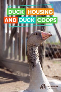 duck housing and duck coops by the happy chicken coutch - book cover