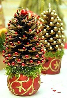 two small pine cones sitting on top of a table next to each other in red vases