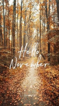 a path in the woods with leaves on it that says, he hello november and there is