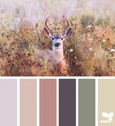 a deer with antlers in the middle of a field, surrounded by tall grass and flowers