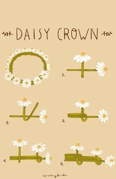 daisy crown instructions on how to use them