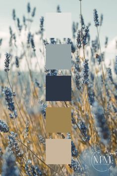 Denim Blue Color Palette, Earthy Blue Color Palette, Colors That Go With Blue, Shades Of Blue Palette, Dark Blue Color Scheme, Blue And Grey Color Palette, Mint Green Room, Green Room Design, House Color Palettes