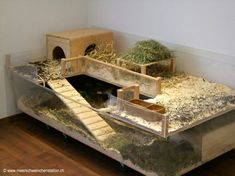 an animal habitat with hay and other animals in the cage, including a rabbit house