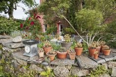 there are many potted plants on top of the rock wall in front of the house