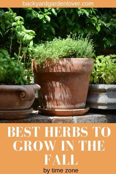 two pots with herbs in them and the words best herbs to grow in the fall by time zone