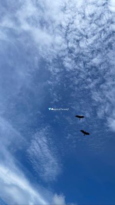 two birds are flying in the blue sky with white clouds and one is looking up