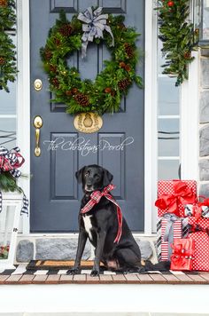 a black dog sitting in front of a blue door with presents on the steps and wreaths