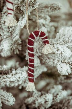 a candy cane ornament hanging from a christmas tree