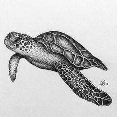 a black and white drawing of a turtle