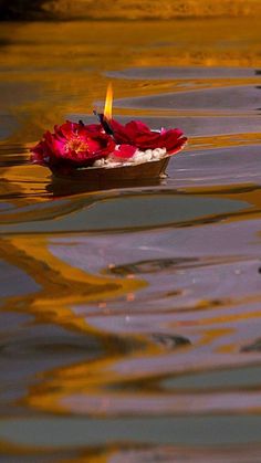 a small boat floating on top of a lake next to a red flower in the water