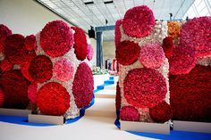 two large red and white flowers are in the middle of a room with blue flooring