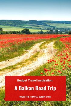 a road that has red flowers on it and the words, budget travel inspiration a balkan road trip