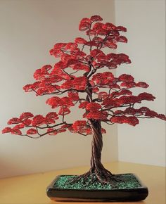 a small red tree sitting on top of a wooden table