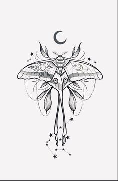 a black and white drawing of a moth with stars on it's wings, the moon