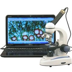 a microscope sitting next to a laptop computer