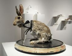 a sculpture of a rabbit with a skeleton in it's mouth on top of a table