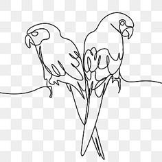 two parrots sitting on top of each other with their beaks in the air