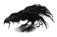 an image of a black bird with long legs and large claws on it's head