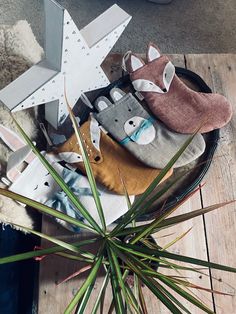 several pairs of socks sitting on top of a wooden table next to a potted plant