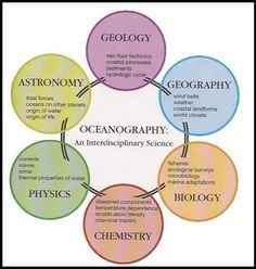 a circle with different types of science related items in each section, including the words astronomy and