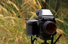 a camera sitting on top of a tripod in front of some tall grass and trees