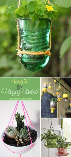 hanging planters made from glass jars and plants