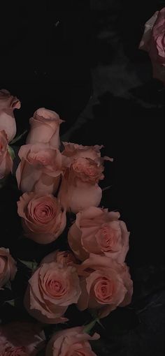 a bunch of pink roses sitting on top of a black surface with one flower in the middle