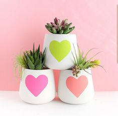 three small pots with plants in them on a pink background and one has a heart painted on it