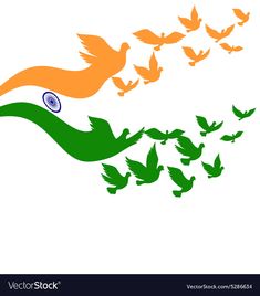 Pigeon Vector, Flying Pigeon, Indian Flag Wallpaper, Indian Independence