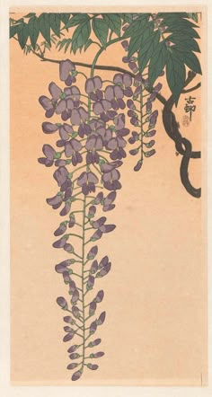 an illustration of purple flowers hanging from a tree