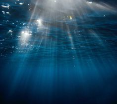 the sun shines brightly through the water's surface as it floats above the ocean floor