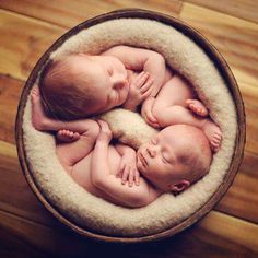 three newborn babies are curled up in a basket on a wooden floor with their heads together