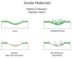 some plants that are growing out of the ground and on top of each other, with different