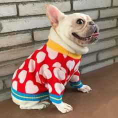 Wool French Bulldog Hearts Sweater - Red / XXL - Frenchie Complex Shop Sunday Sweater, French Bulldog Clothes, Small Dog Sweaters, Small Dog Clothes, Knitted Cat, French Bulldog Dog, Dog Store, Heart Sweater, Dog Sweaters