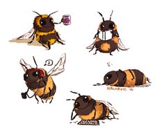 four different stages of a honeybee