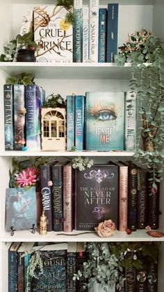 the books are lined up on the shelves in the room, with plants growing out of them