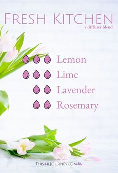 Kitchen Diffuser, Essential Oil Remedy, Lavender Rosemary, Fresh Kitchen