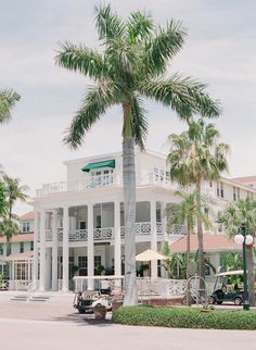 a palm tree in front of a large white building with cars parked on the street