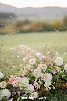 flowers and grass in a field with mountains in the background