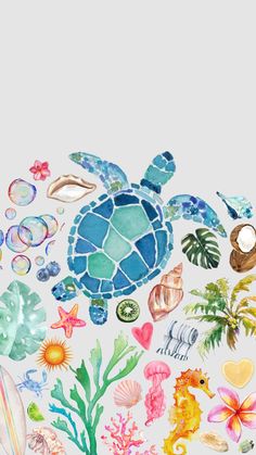 the sea turtle is surrounded by shells and seashells