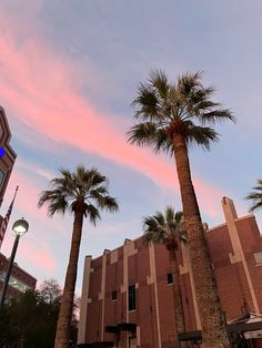 two palm trees in front of a building with a pink and blue sky behind them