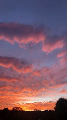 the sun is setting over some trees and water in front of a blue sky with pink clouds