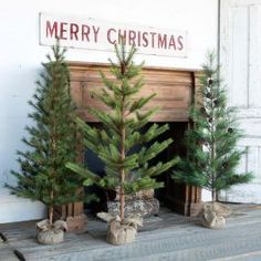 three small christmas trees sitting in front of a fireplace mantel with burlocks